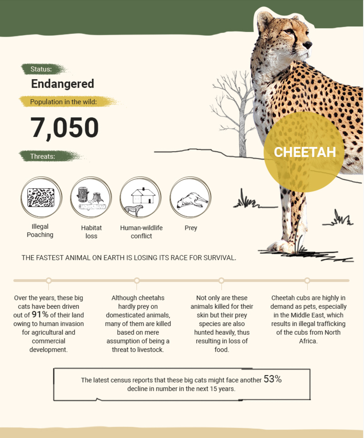 The Next Ten Years: Africa's most endangered species